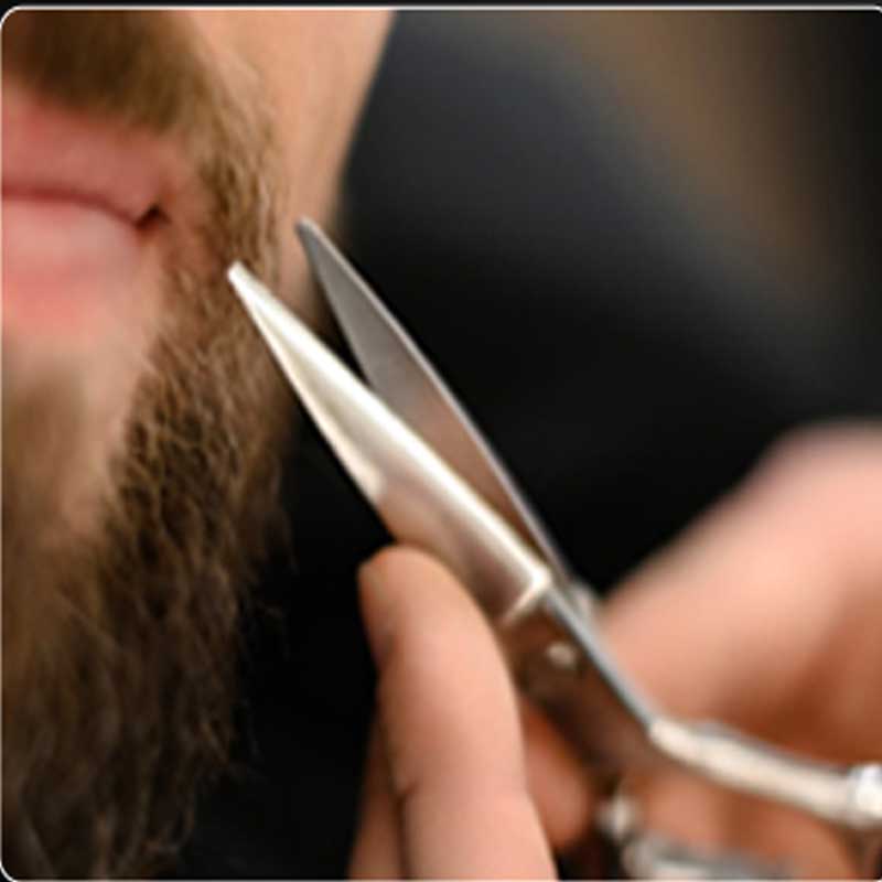 beard scissors kit